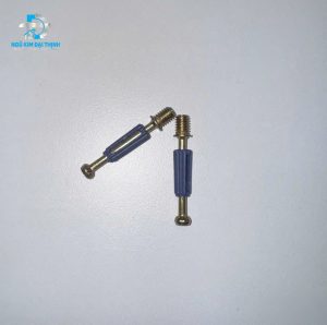Con Ti Ốc Cam Liên Kết