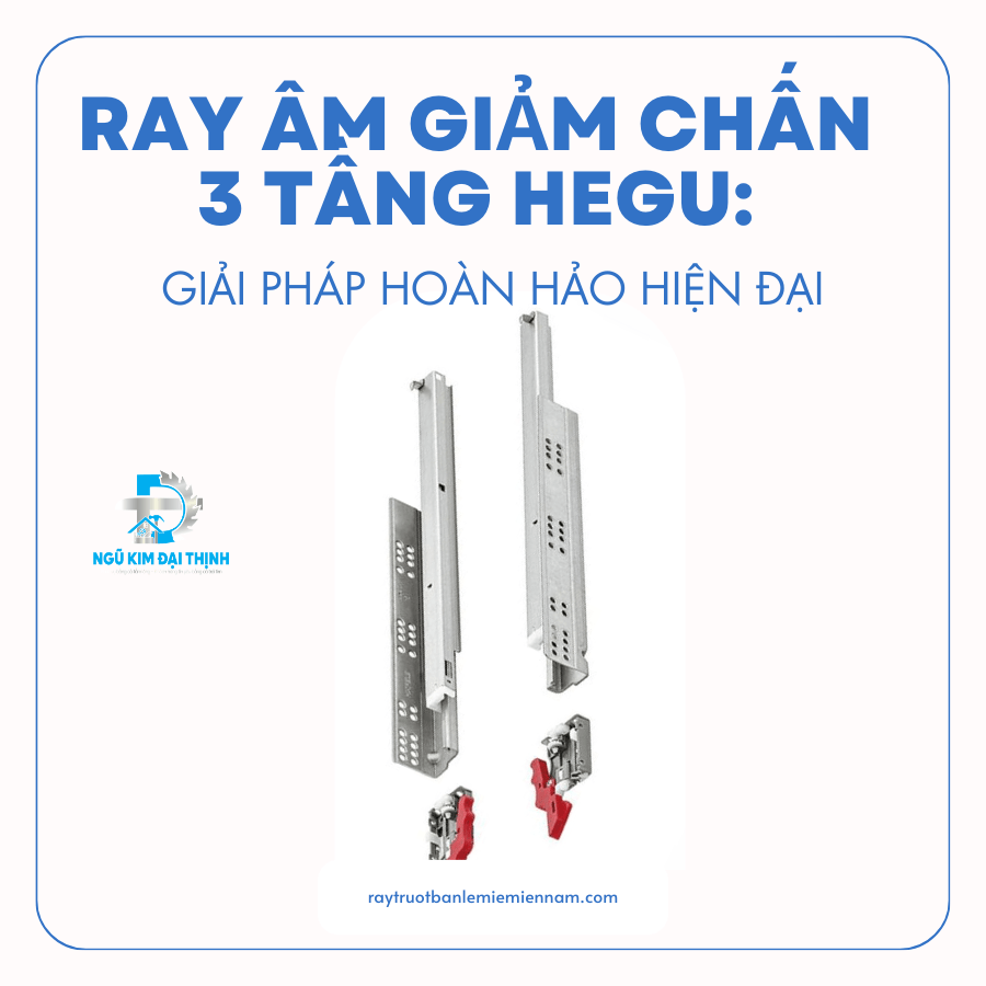 Ray âm giảm chấn 3 tầng HEGU